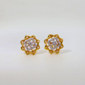 Arte Women Stone Stud Earrings